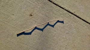 Perception and reality - Sateesh Dingankar.